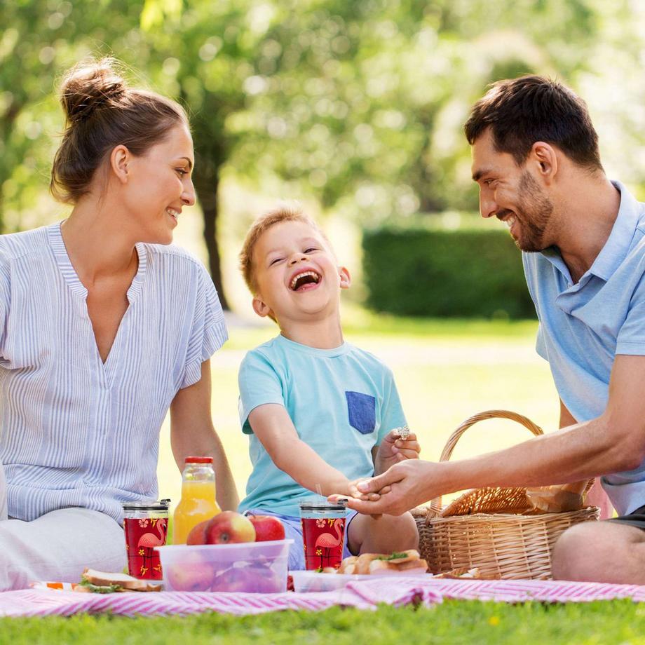 B2X  4er-Set Trinkgläser mit Flamingo-Motiv 