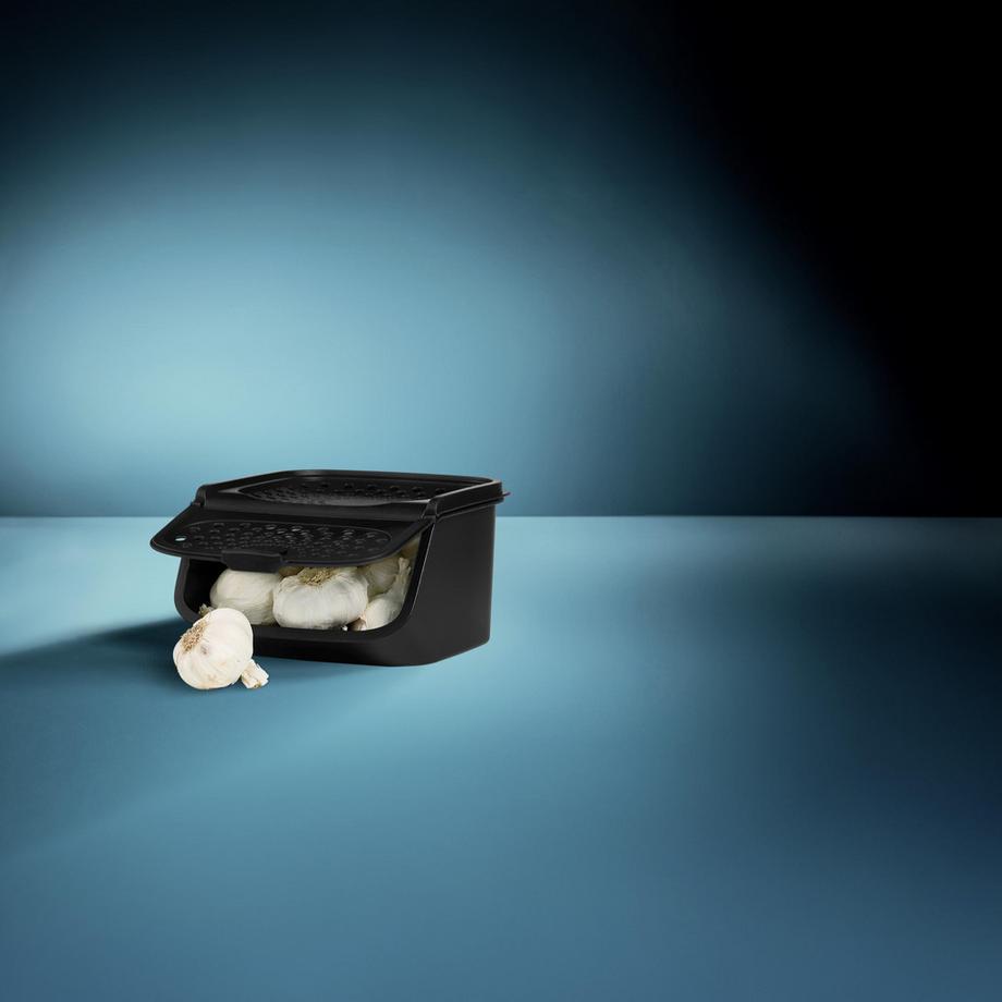 Tupperware Garlic Smart  