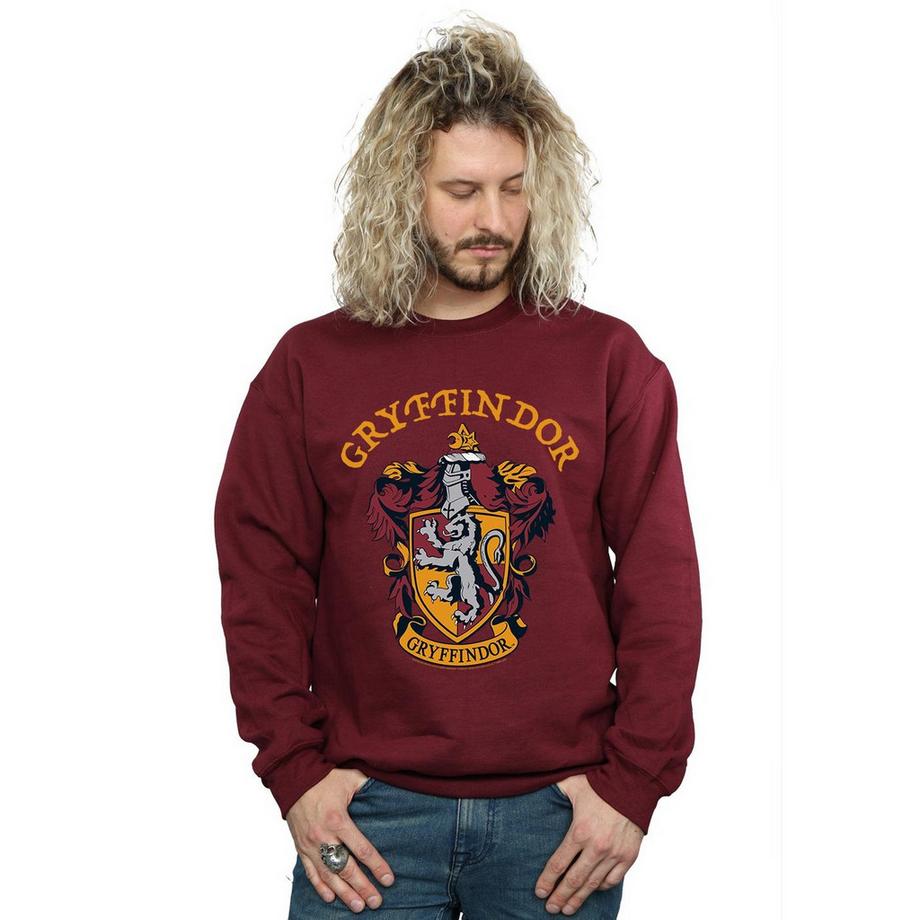 Harry Potter Sweat Gryffindor  