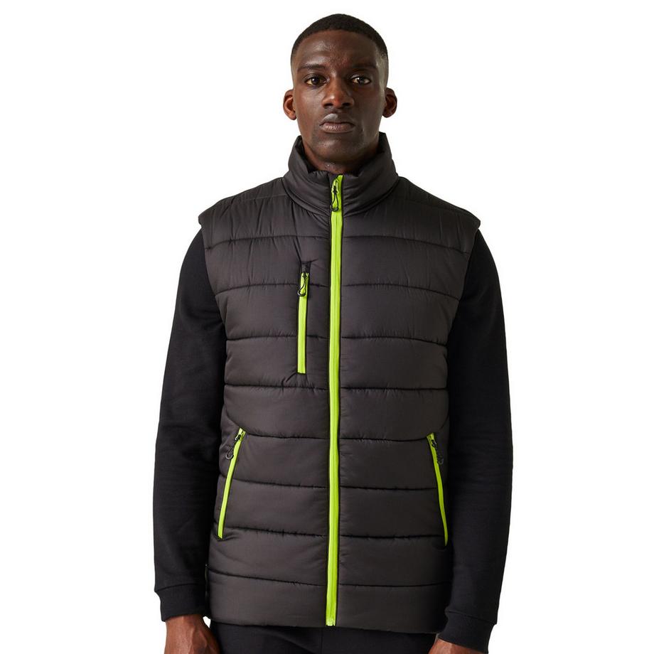 Regatta Navigate Gilet imbottito  
