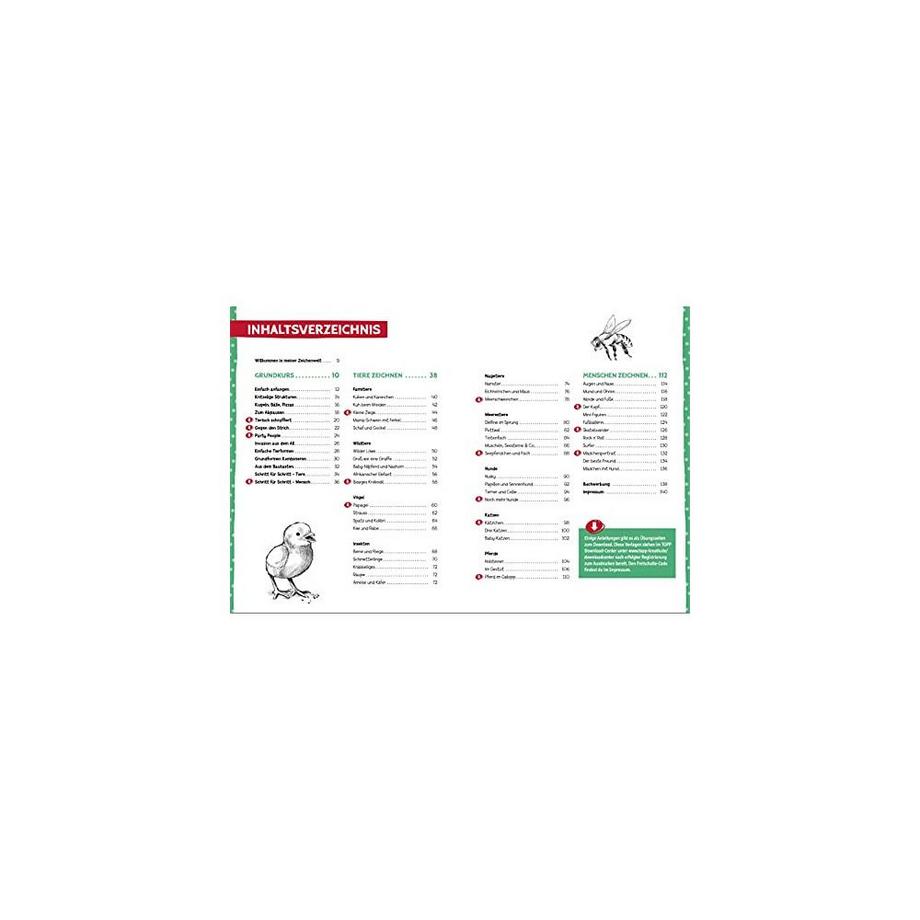 Die Kunst des Zeichnens für Kinder Zeichenschule Keck, Gecko Couverture rigide 