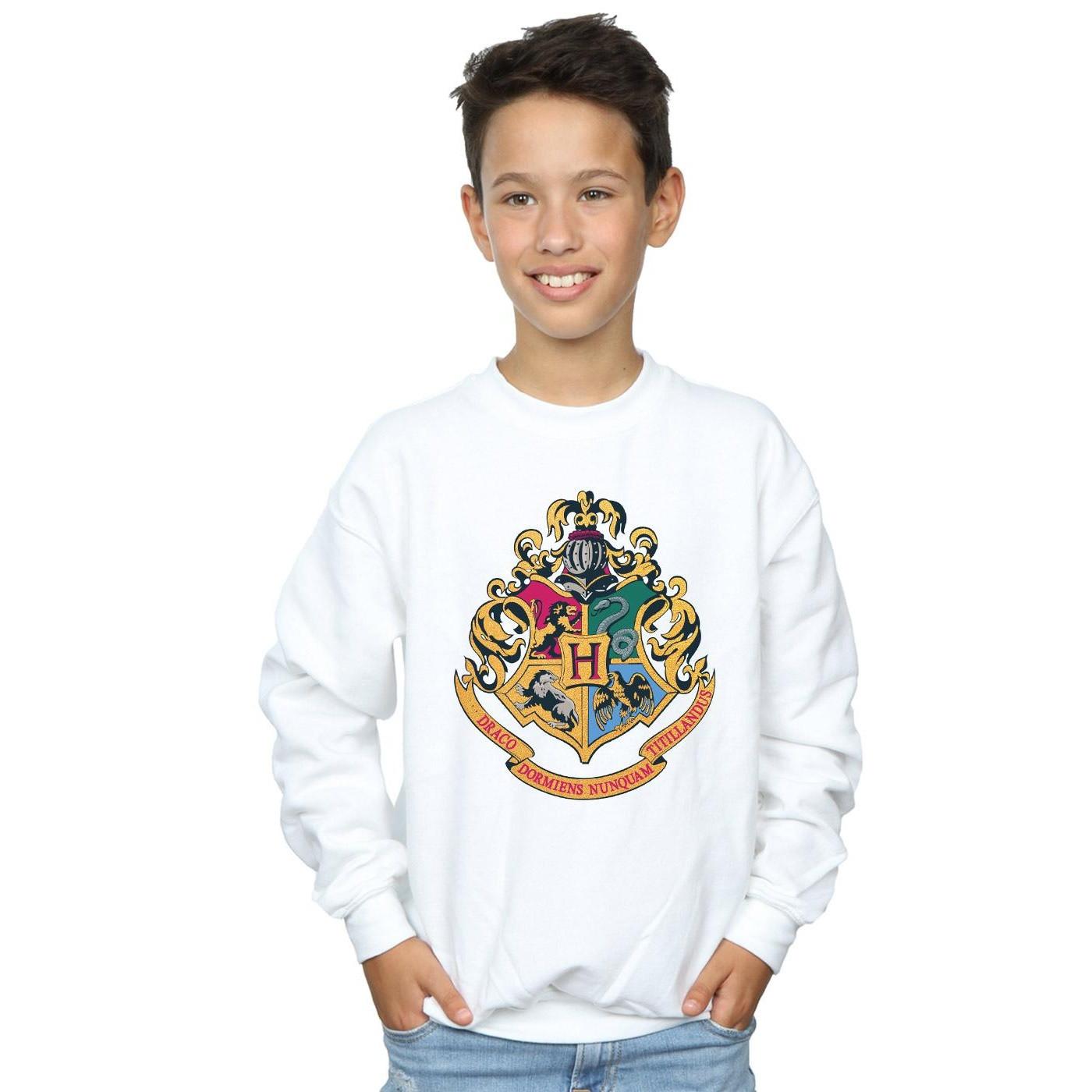 Harry Potter  Hogwarts Sweatshirt 