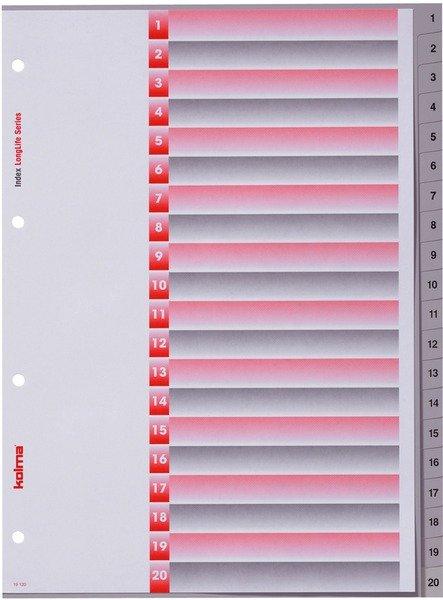 Kolma  KOLMA Register Longlife A4 19.120.03 grau, 20-teilig 