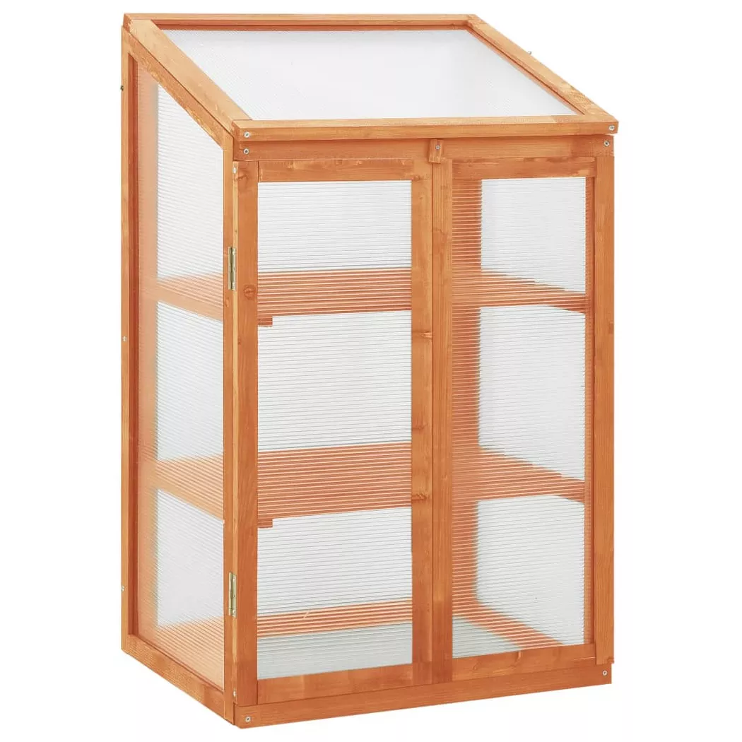 vidaXL Gewächshaus 60x45x100 cm Tannenholz
