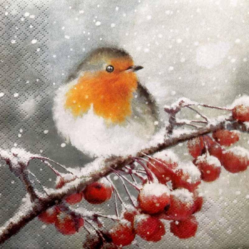 Home Fashion Tovaglioli pettirosso, 20 pezzi  