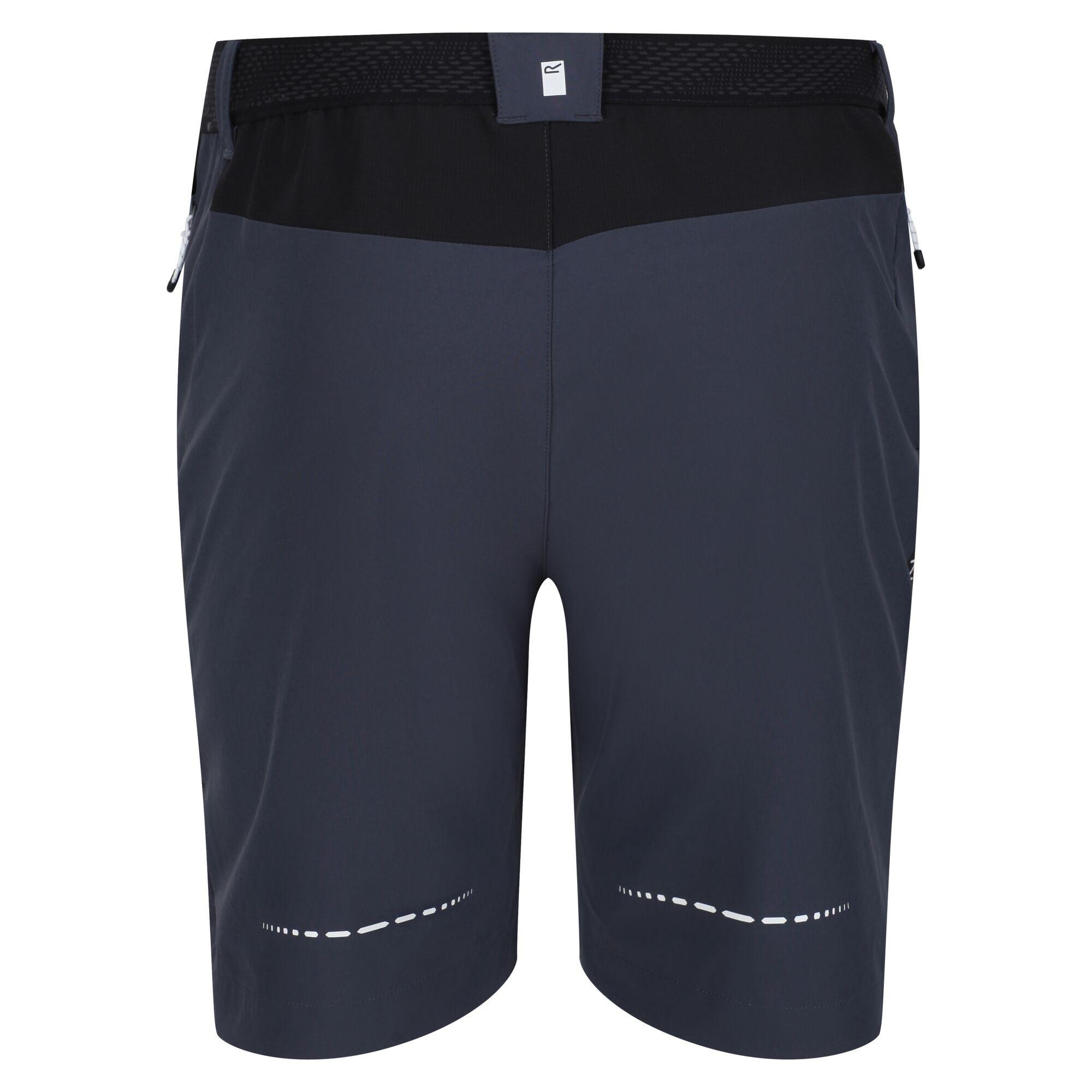 Regatta  Mountain II Shorts 