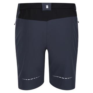 Regatta  Mountain II Shorts 