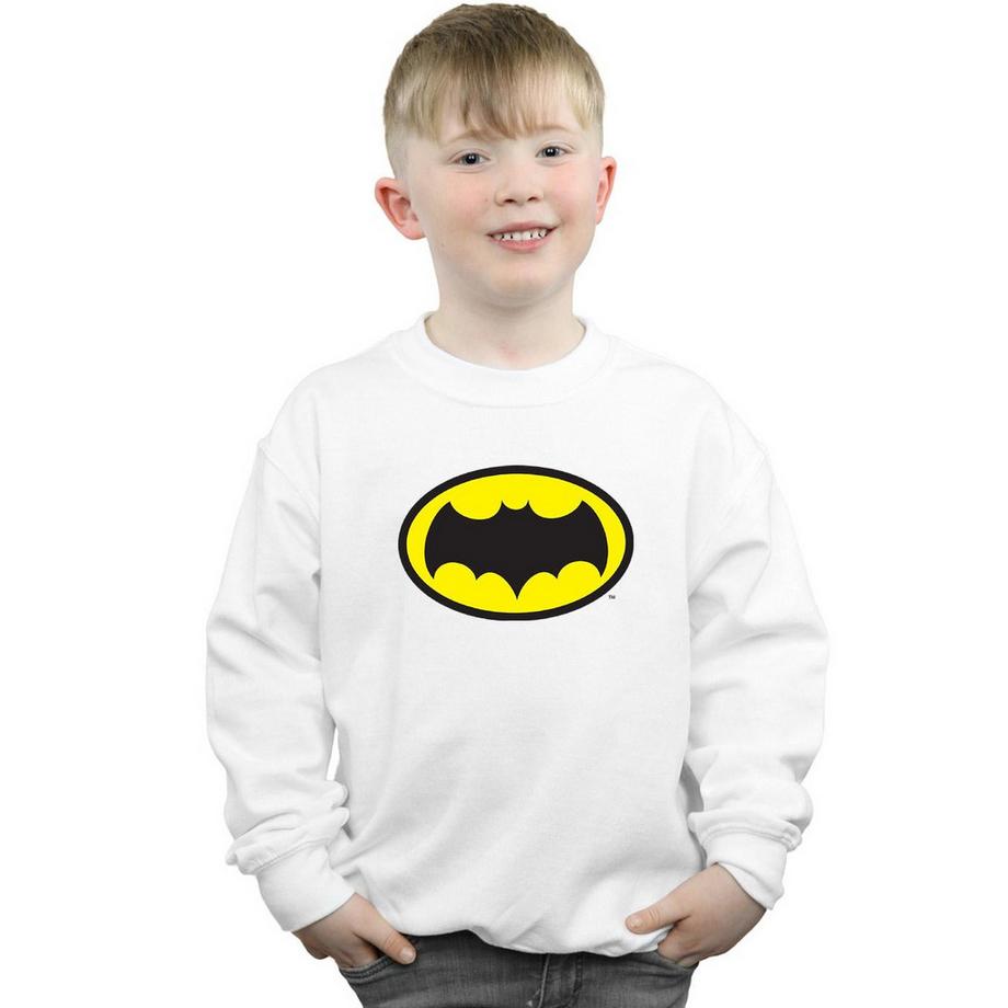 DC COMICS  Sweatshirt 