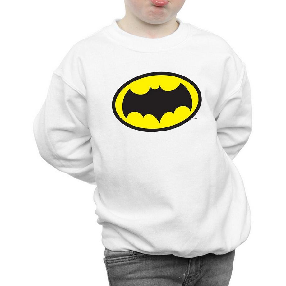 DC COMICS  Sweatshirt 