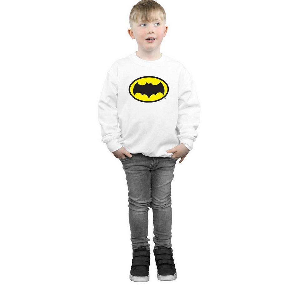 DC COMICS  Sweatshirt 