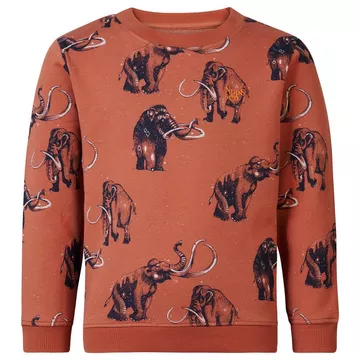 Jungen Pullover Westchase