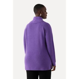 Ulla Popken  Rollkragen-Pullover, weicher Feinstrick, Langarm 