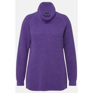 Ulla Popken  Rollkragen-Pullover, weicher Feinstrick, Langarm 