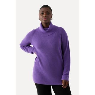 Ulla Popken  Rollkragen-Pullover, weicher Feinstrick, Langarm 