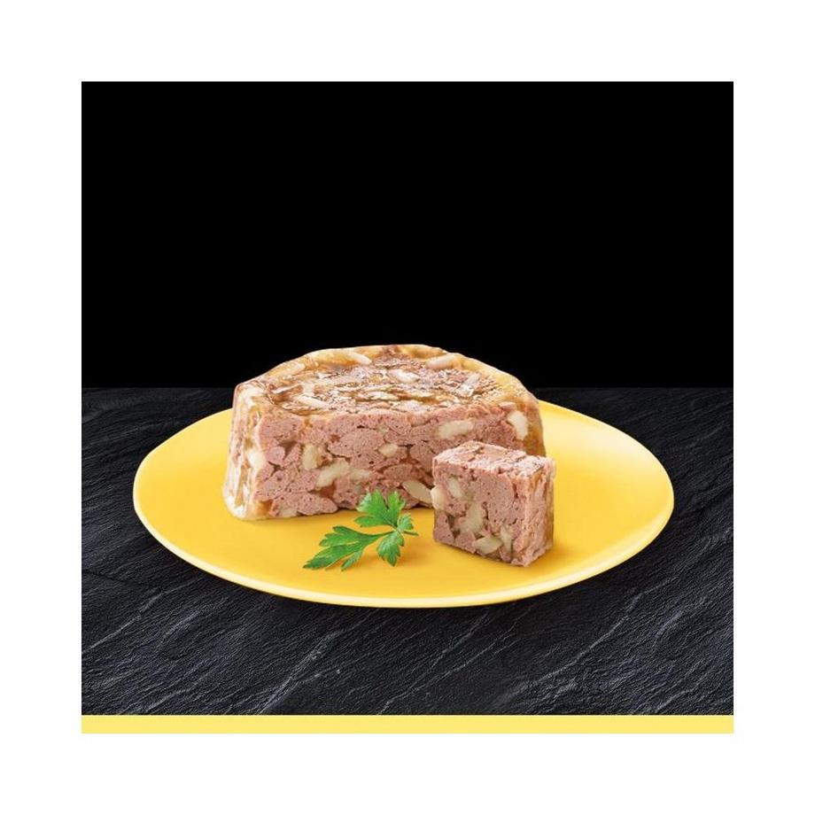 Cesar  Senior Multipack 