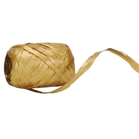 SPYK SPYK Band Poly 10mmx20m  