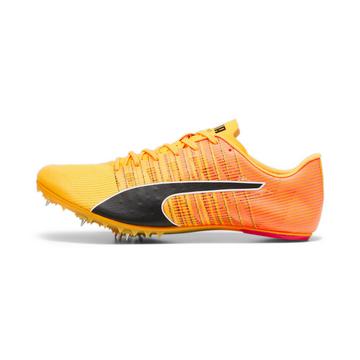 chaussures d'athlétisme teamwear evospeed future 6