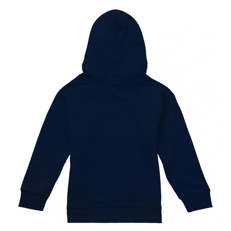 Pink Floyd  Sweat À Capuche Convalesce 
