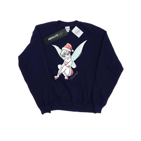 Disney  Fairy Sweatshirt 