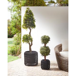 Beliani Lot de 2 pots de fleurs en Polyrotin Rustique BRODIEA  
