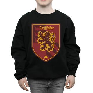 Harry Potter  Gryffindor Sweatshirt 