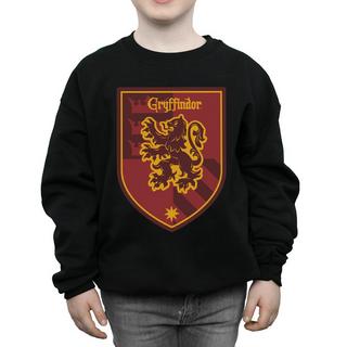 Harry Potter  Sweat GRYFFINDOR 