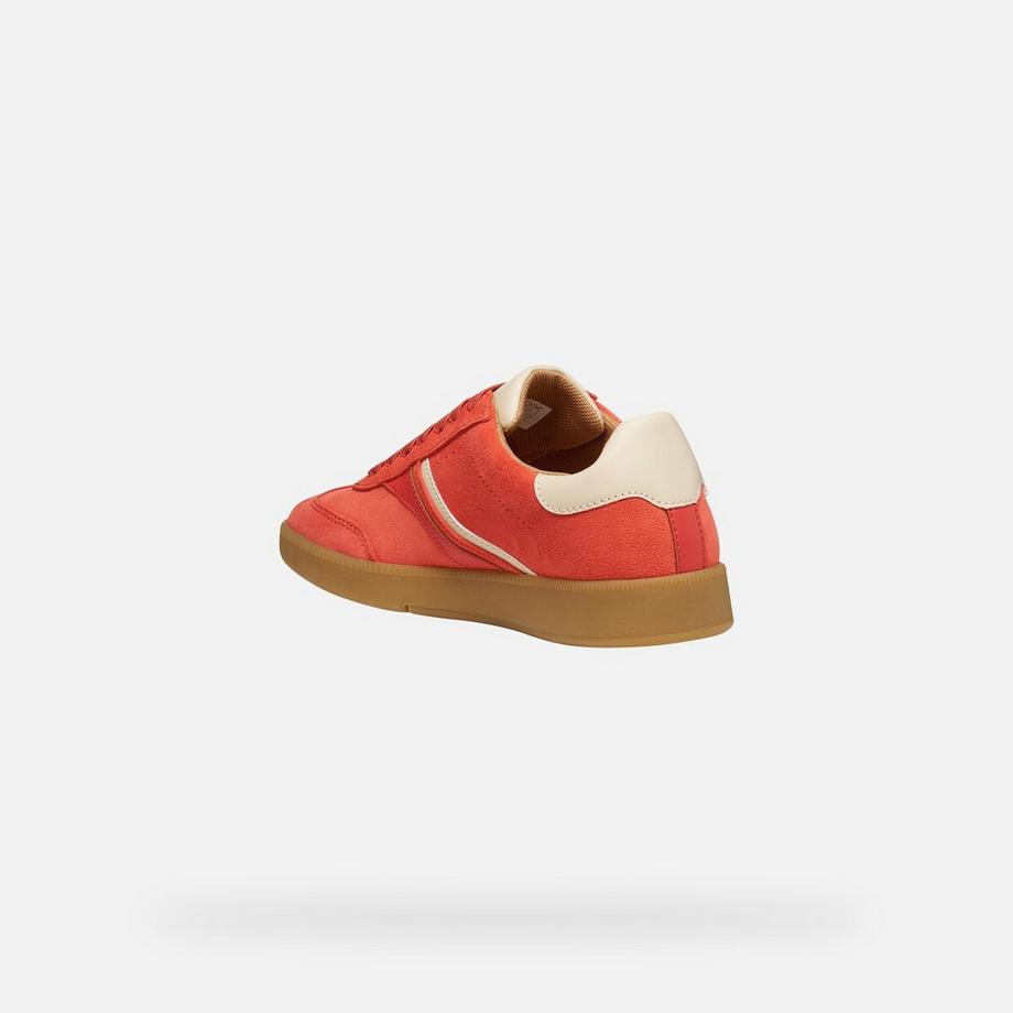 GEOX Baskets Meleda  