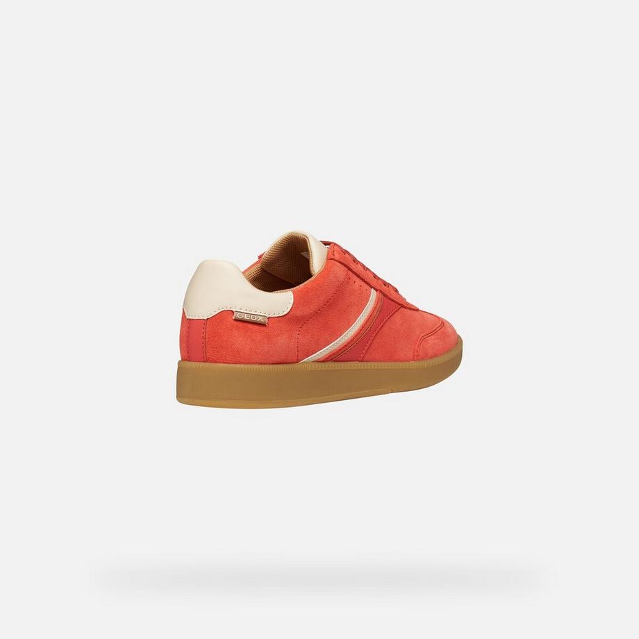 GEOX Baskets Meleda  