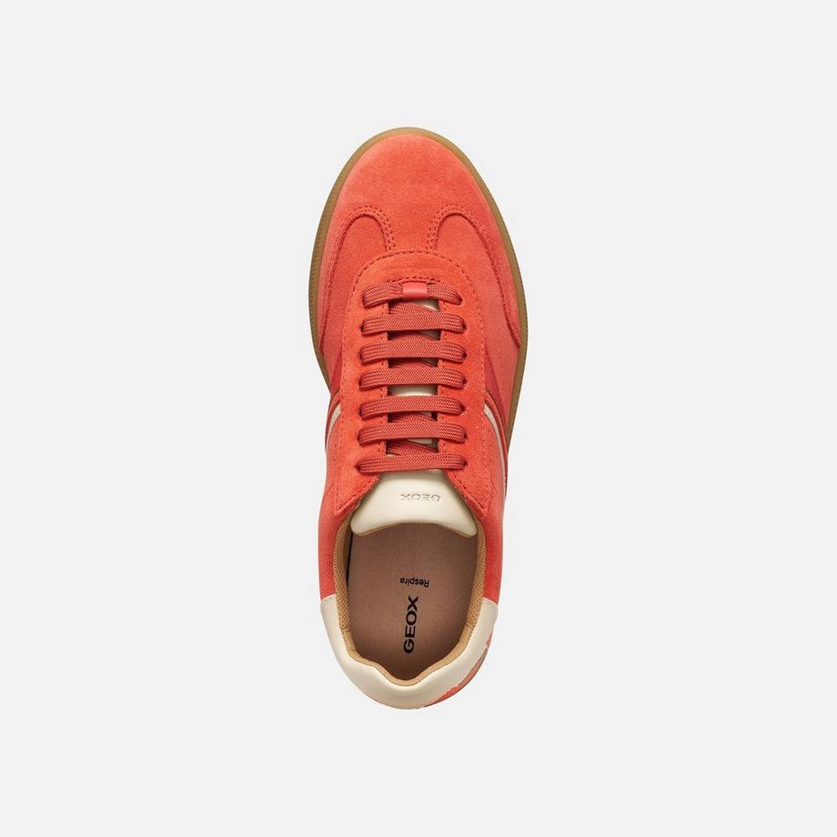 GEOX Baskets Meleda  