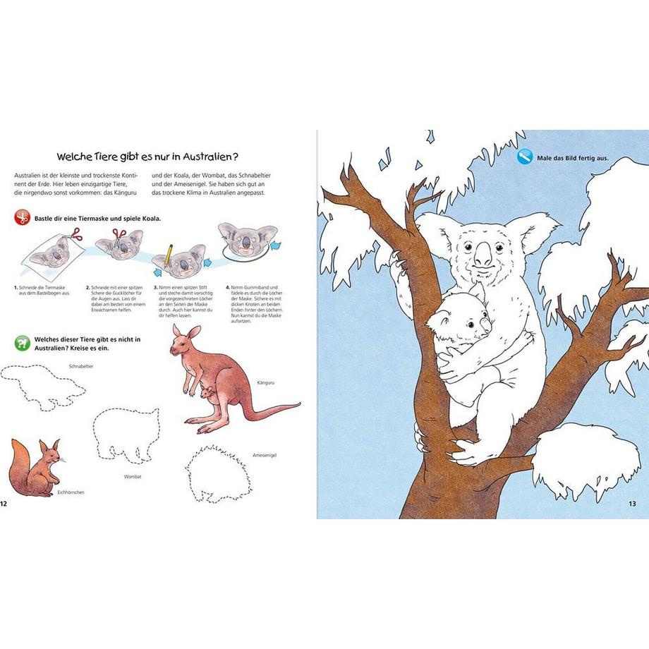 Ravensburger  Wieso? Weshalb? Warum? aktiv-Heft: Tiere der Welt 