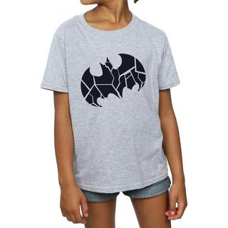 DC COMICS  TShirt 