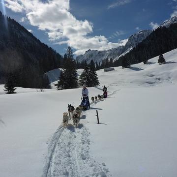 Exklusives Husky - Schlittenhunde Abenteuer (für 2 Personen)