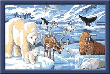 Ravensburger  Malen nach Zahlen Tiere der Arktis 