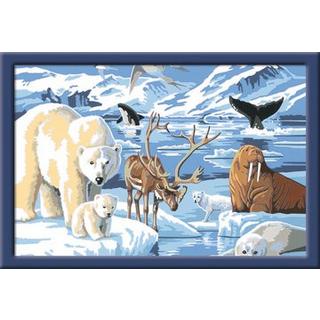 Ravensburger  Malen nach Zahlen Tiere der Arktis 