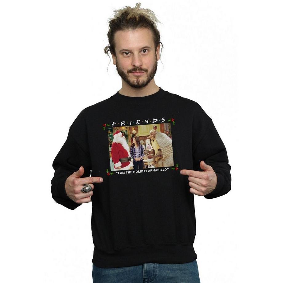 Friends The Holiday Armadillo Sweatshirt  