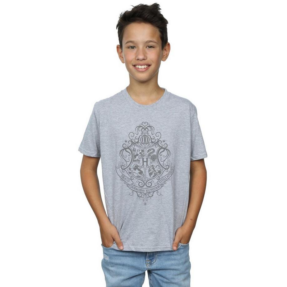 Harry Potter  Tshirt HOGWARTS DRACO DORMIENS 