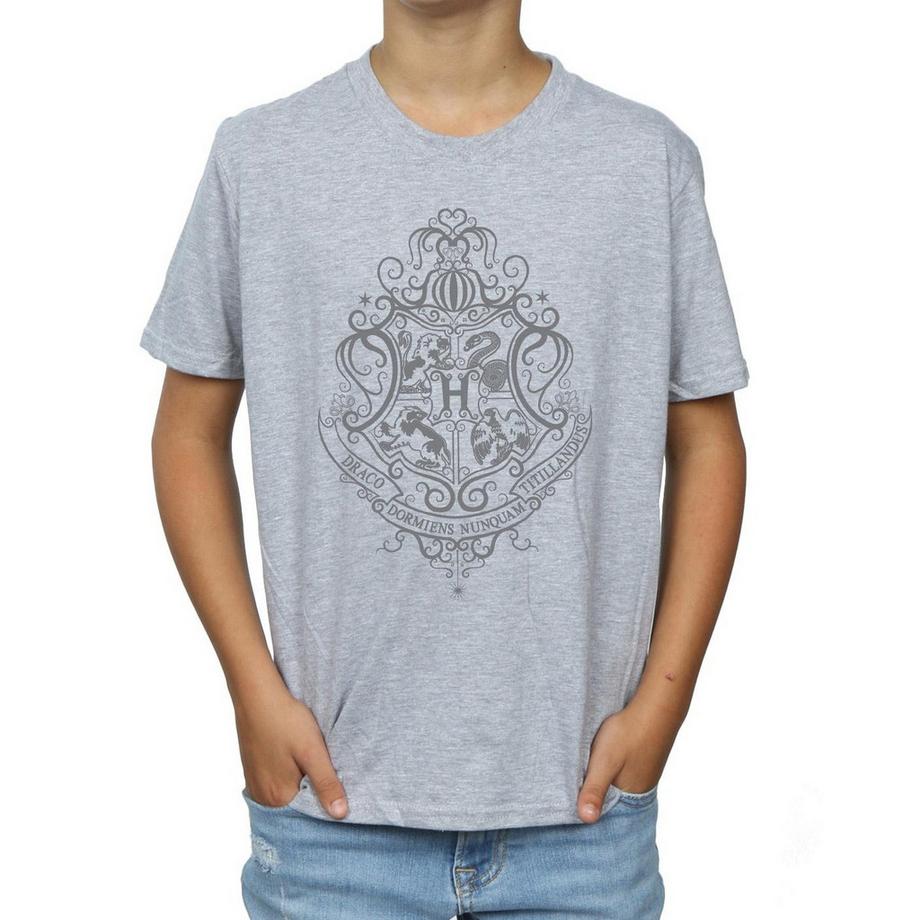 Harry Potter  Tshirt HOGWARTS DRACO DORMIENS 