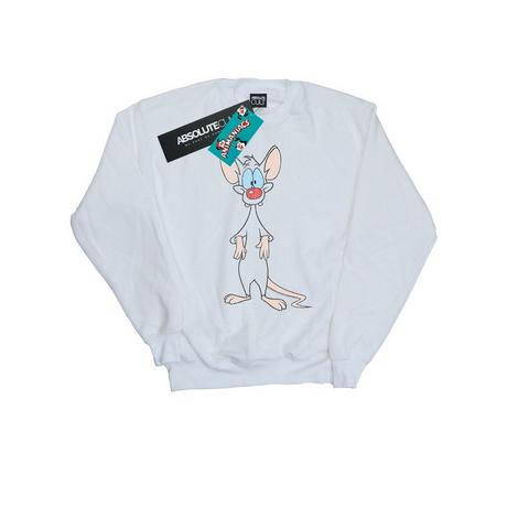 Animaniacs  Sweatshirt 