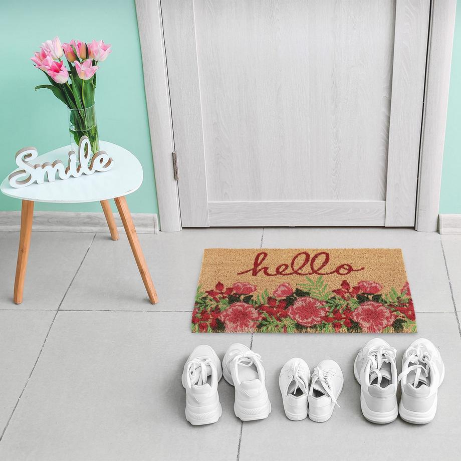 B2X Zerbino Hello Coconut  