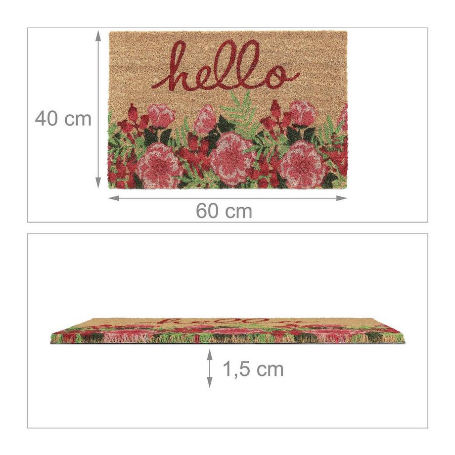 B2X Zerbino Hello Coconut  