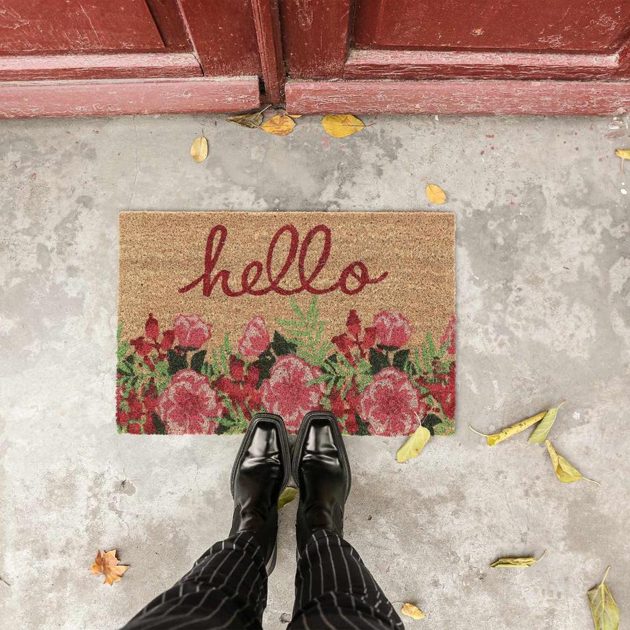 B2X Zerbino Hello Coconut  