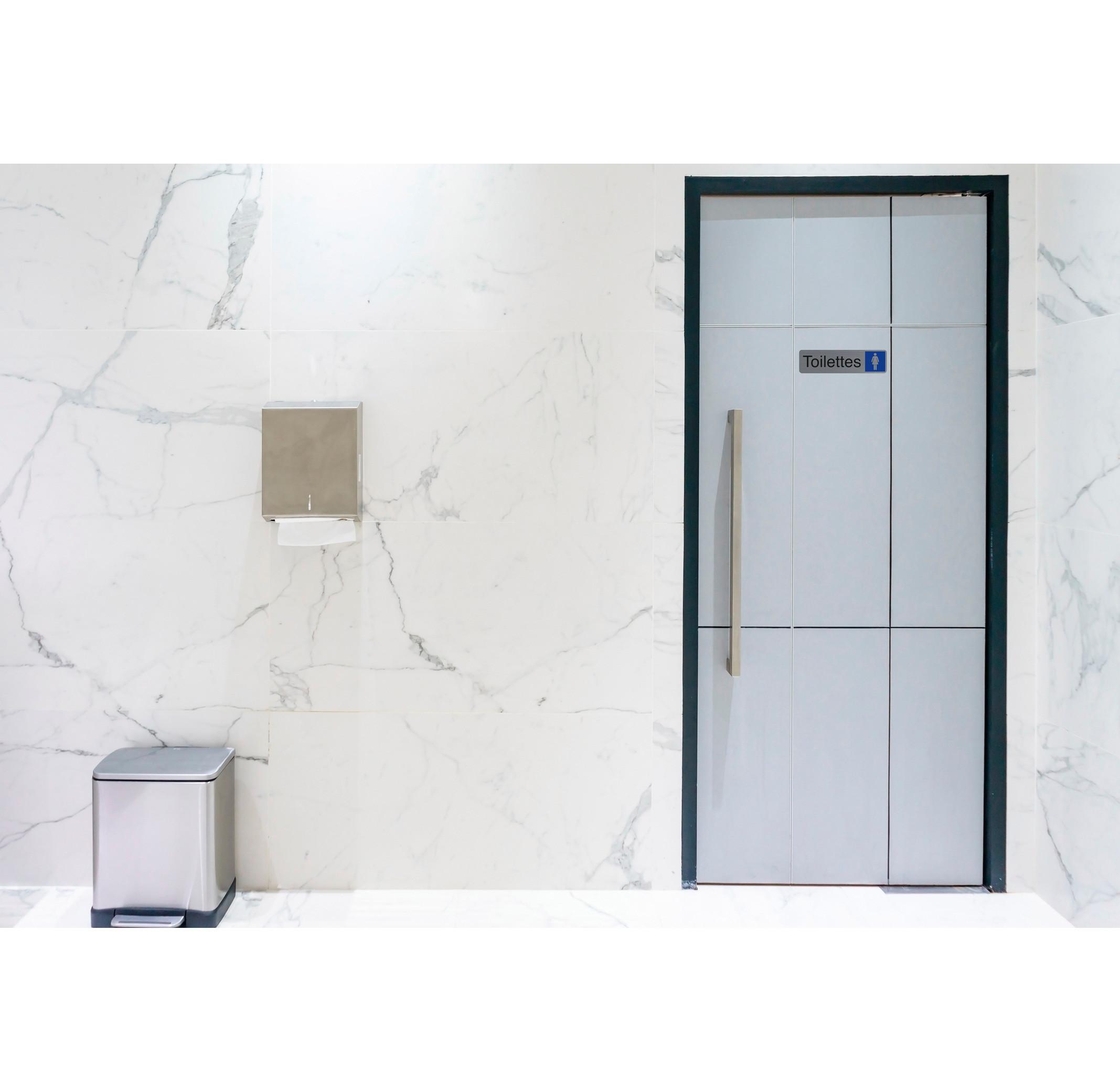 Exacompta Plaque adhésive imitation aluminium Toilettes dame 16,5X4,4 cm  