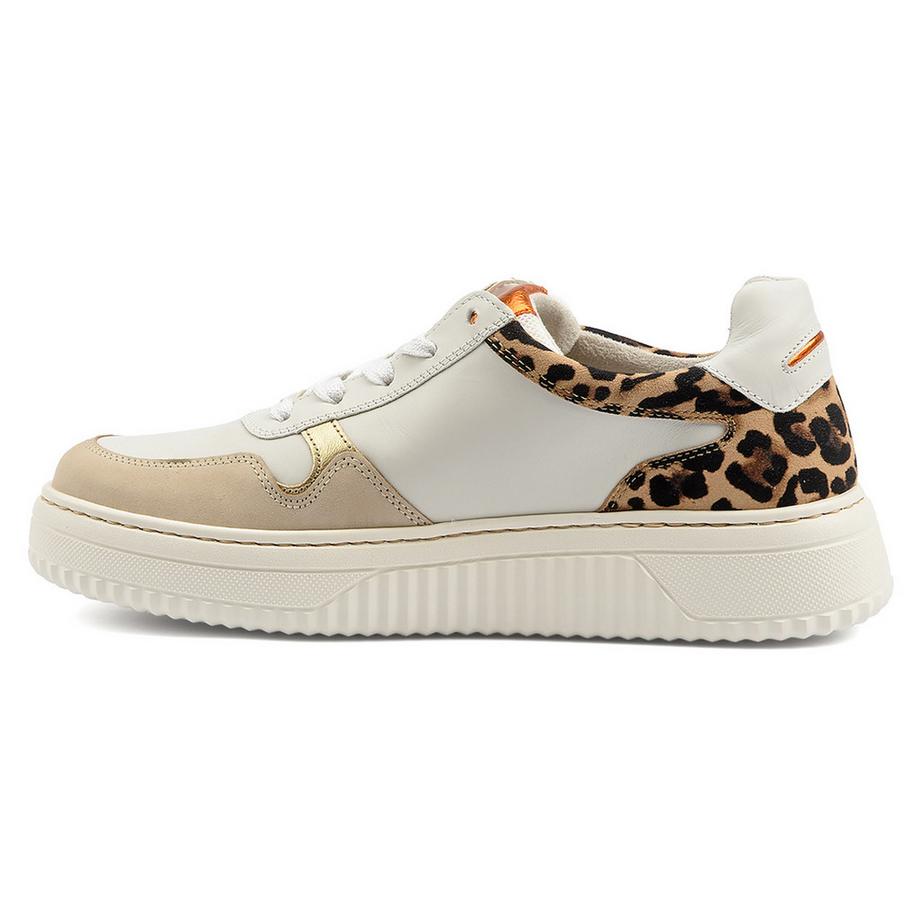 Gabor 66-408 Sneakers con Dettagli Stampa Leopardata  