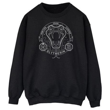 Harry Potter  Sweatshirt 