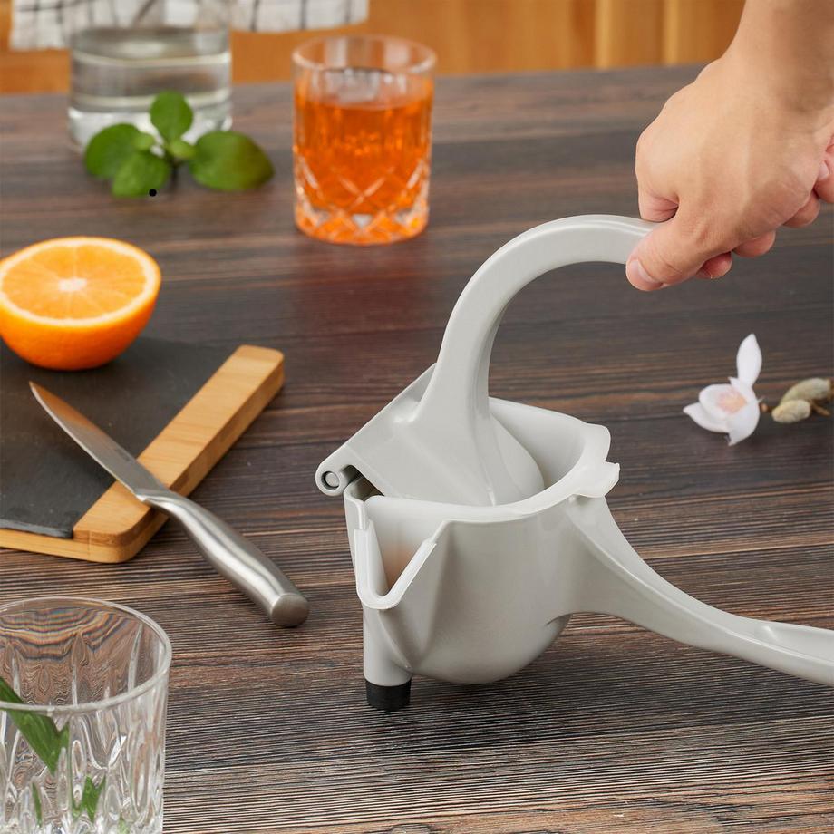 B2X  Presse-citron manuel 