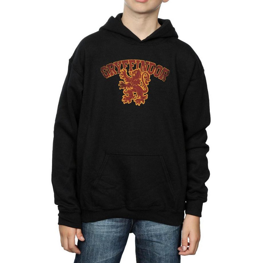 Harry Potter  Sweat à capuche GRYFFINDOR 