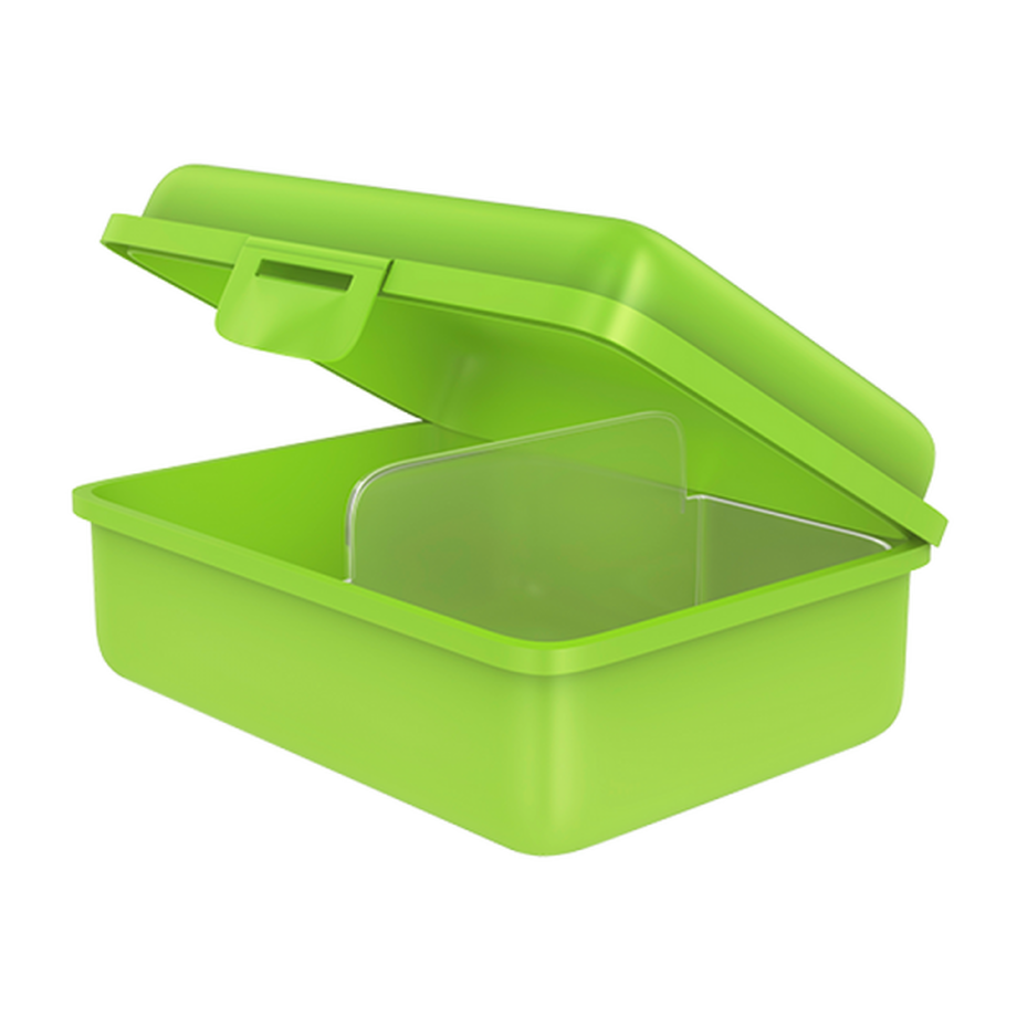 fizzy Fizzii Lunchbox mit Trennfach kiwi, Dino  