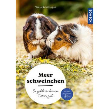 Meerschweinchen