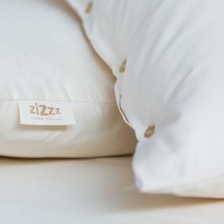 Zizzz Taie d'oreiller satin - 100x65cm  