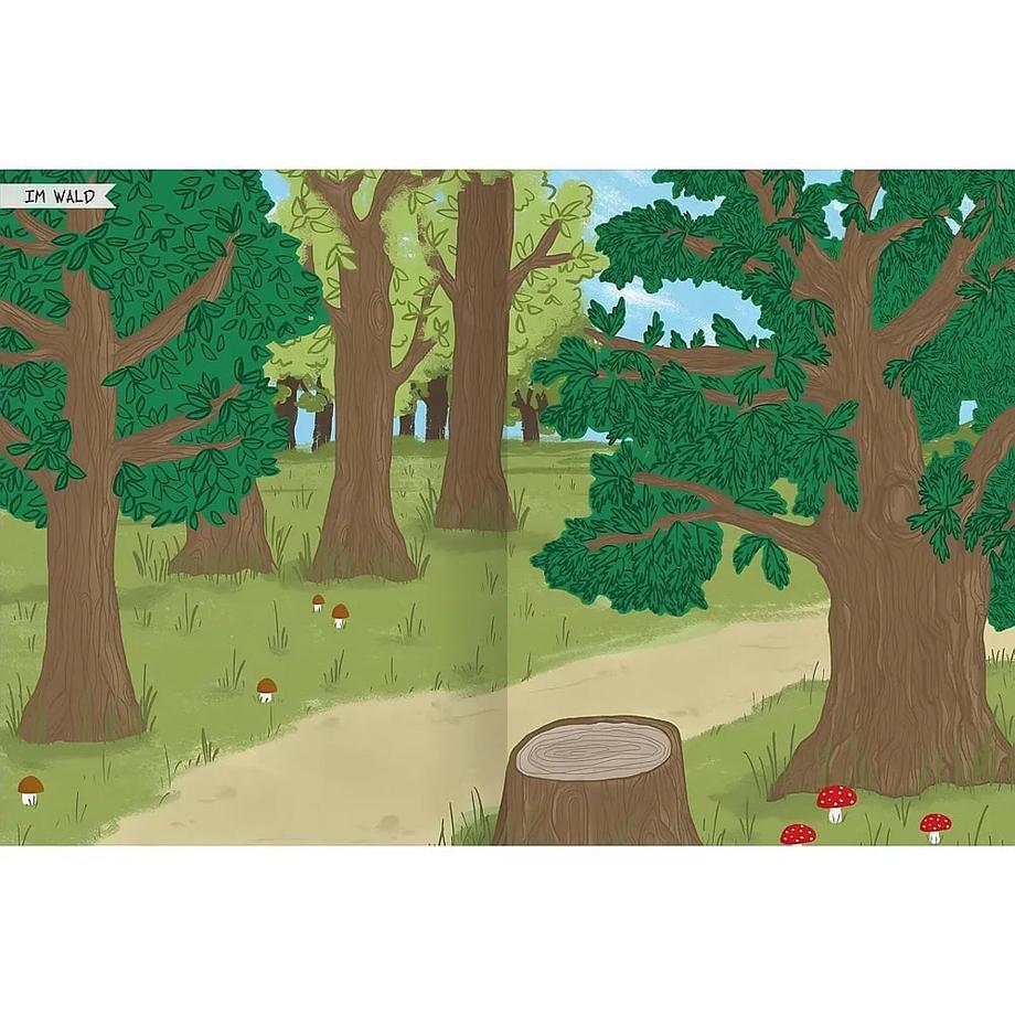 ARS EDITION  Naturforscher-Kids - Stickerheft Vögel 